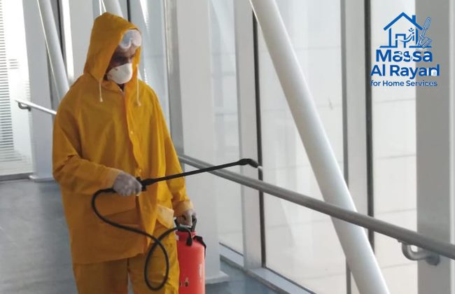 شركة مكافحة الوزغ بشمال الرياض