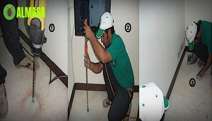 شركة مكافحة الأرضة شرق الرياض0545160653 3 شركة مكافحة الأرضة شرق الرياض 0545160653
