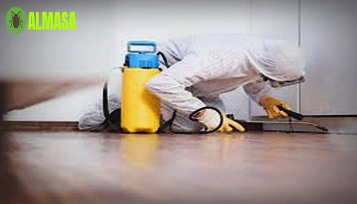 شركة مكافحة الوزغ شرق الرياض0545160653 1 شركة مكافحة الوزغ شرق الرياض 0545160653
