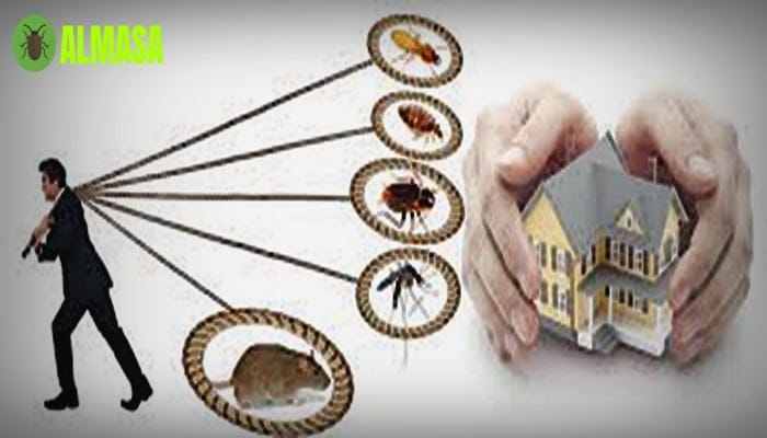 شركة مكافحة الحشرات بالخرج0545160653 1 شركة مكافحة الحشرات بالخرج 0545160651