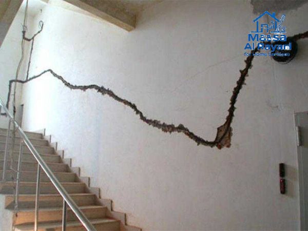 شركة الأرضة جنوب الرياض