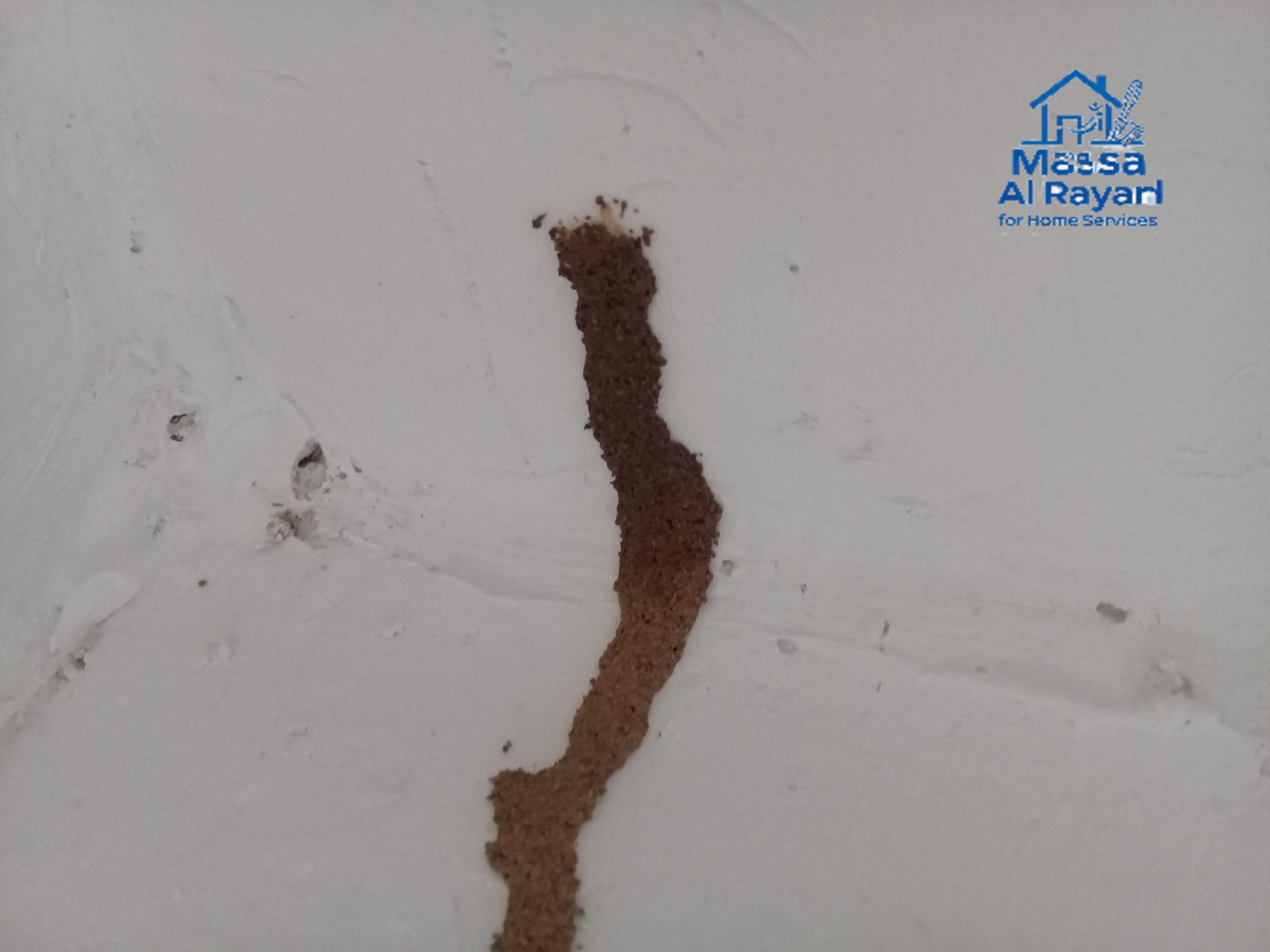 شركة مكافحة الأرضة جنوب الرياض0545160653 3 شركة الأرضة جنوب الرياض