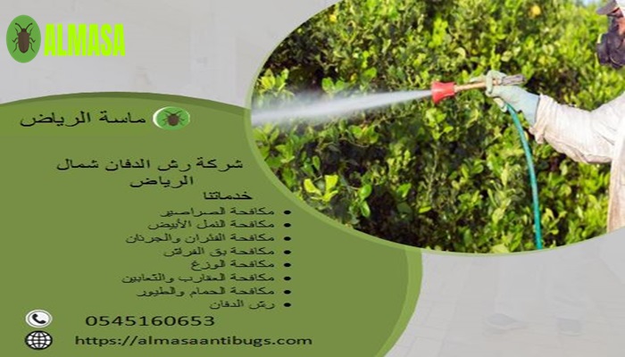 شركة رش الدفان بشمال الرياض | 0545160653