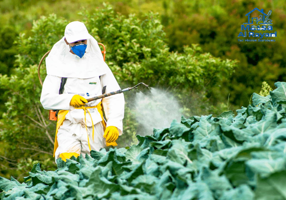 شركة رش الدفان شرق الرياض 0545160653