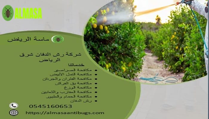 شركة رش الدفان شرق الرياض 0545160653