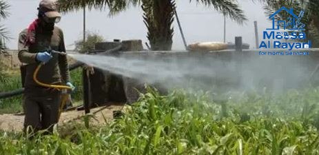 شركة رش الدفان غرب الرياض005