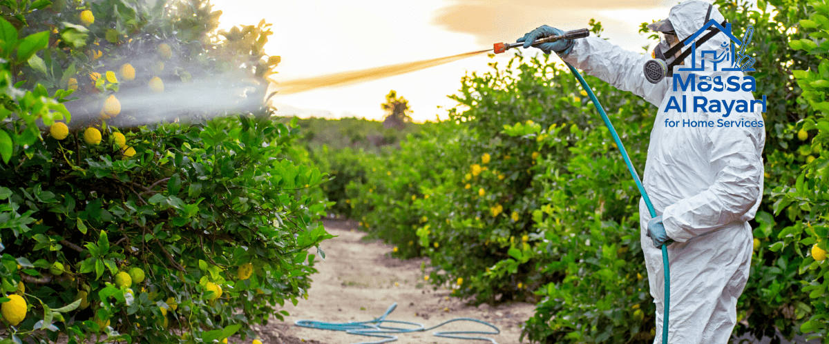شركة رش الدفان بشمال الرياض-0545160653 2 شركة رش دفان بشمال الرياض013