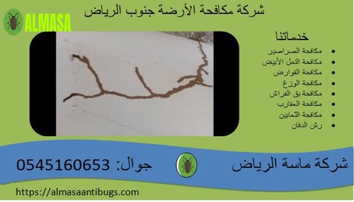شركة مكافحة الأرضة جنوب الرياض0545160653 3 شركة مكافحة الأرضة جنوب الرياض | 0545160653