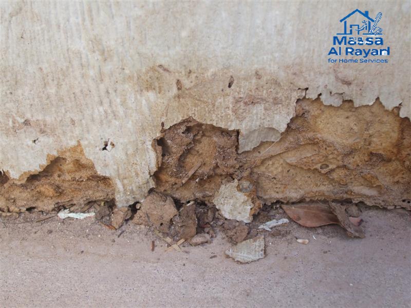 شركة مكافحة الأرضة شرق الرياض0545160653 3 شركة مكافحة الأرضة شرق الرياض005