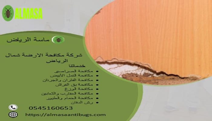 شركة مكافحة الأرضة بشمال الرياض| 0545160653