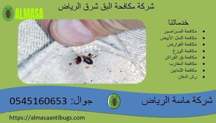 شركة مكافحة البق شرق الرياض0545160653 2 شركة مكافحة البق شرق الرياض 0545160653