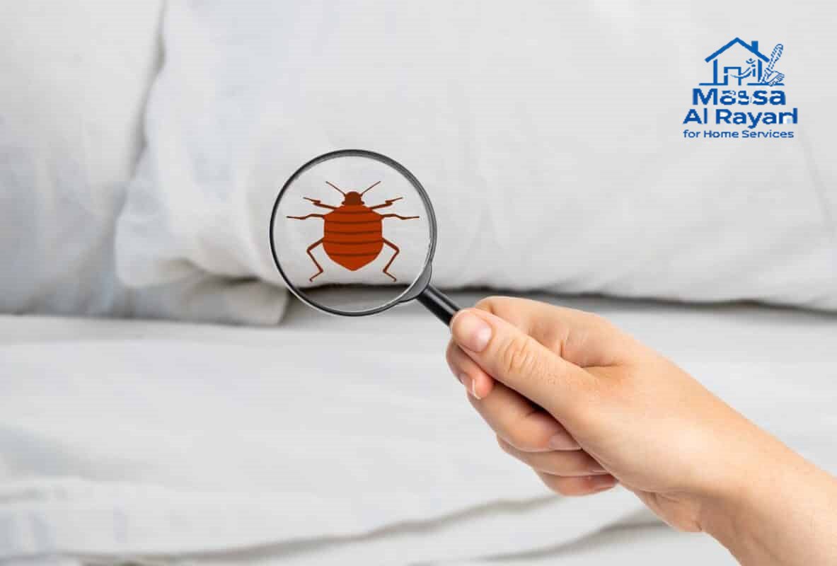 شركة مكافحة البق شرق الرياض0545160653 3 مكافحة البق شرق الرياض
