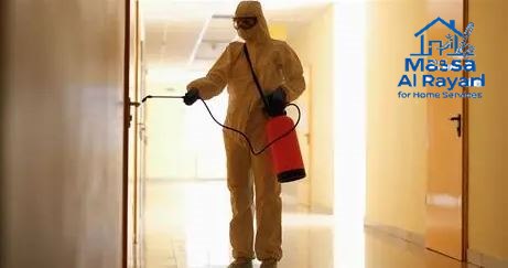 أفضل شركة مكافحة الحشرات بالخرج