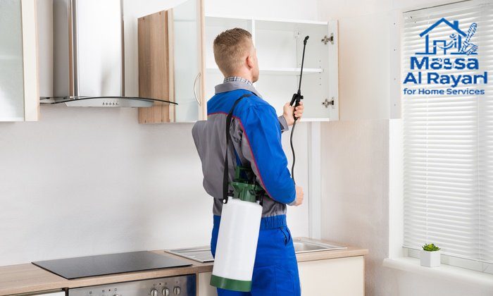شركة مكافحة الحشرات جنوب الرياض
