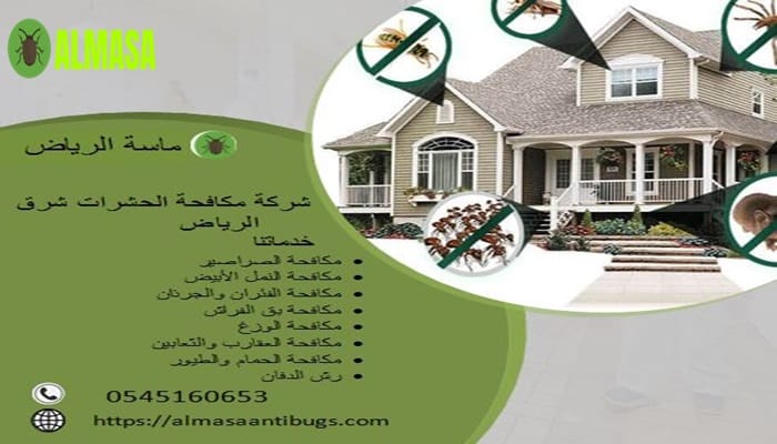 شركة مكافحة الحشرات شرق الرياض 0545160653