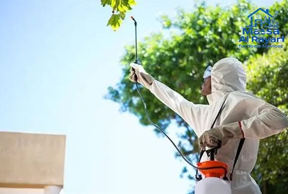 شركة مكافحة الحشرات غرب الرياض0545160653 3 شركة مكافحة الحشرات غرب الرياض 0545160653