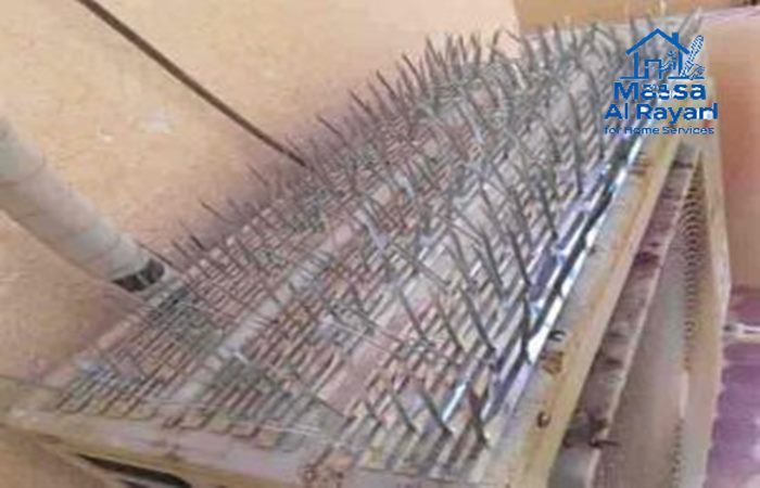 أفضل شركة تركيب طارد الحمام جنوب الرياض