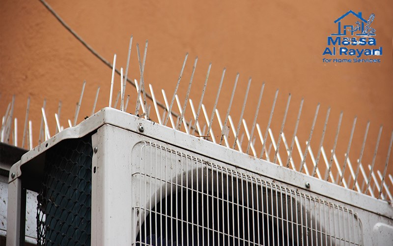 شركة مكافحة الحمام شرق الرياض 0545160653 2 شركة مكافحة الحمام شرق الرياض000