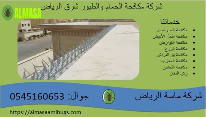 شركة مكافحة الحمام شرق الرياض 0545160653 2 شركة مكافحة الحمام شرق الرياض 0545160653
