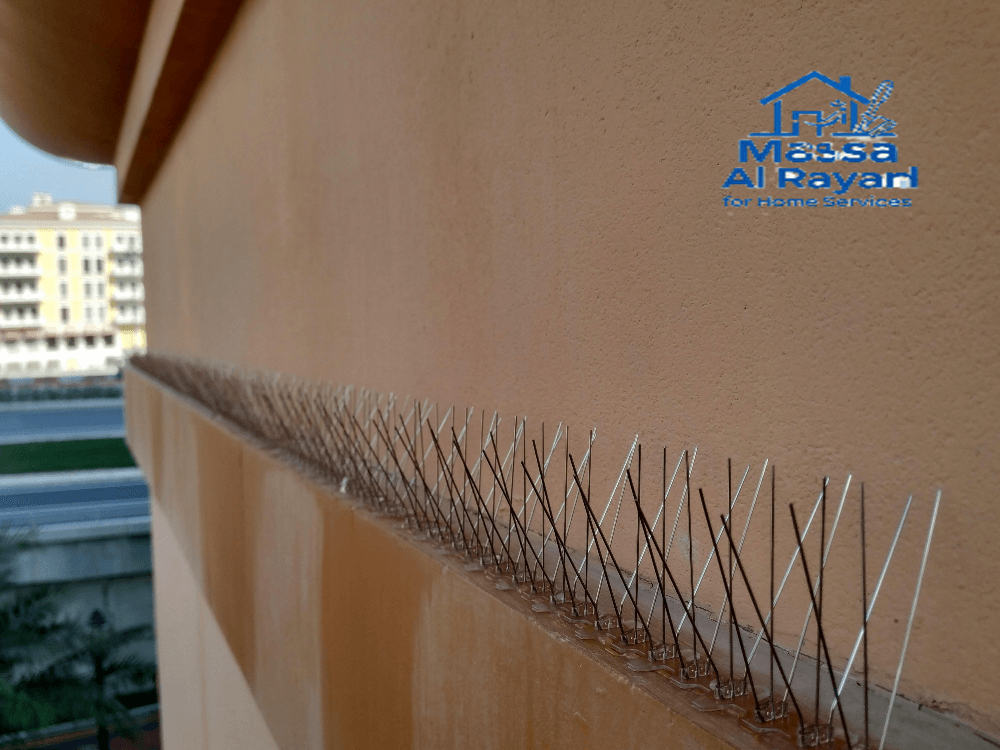 شركة مكافحة الحمام شمال الرياض