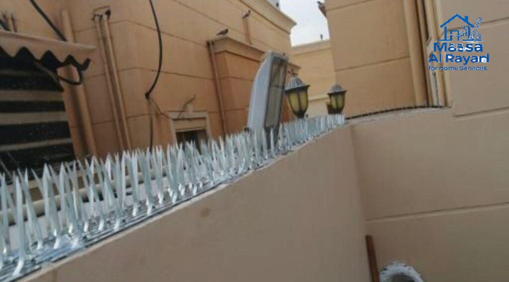 شركة مكافحة الحمام غرب الرياض0545160653 1 شركة مكافحة الحمام غرب الرياض 0545160653