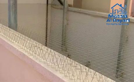 شركة مكافحة الحمام غرب الرياض0545160653 3 أفضل شركة مكافحة الحمام غرب الرياض