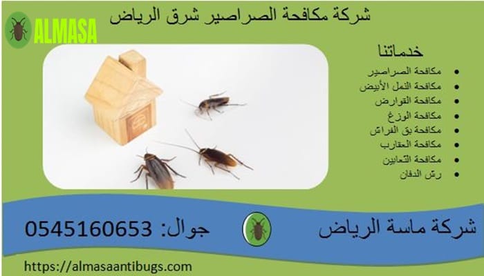 شركة مكافحة الصراصير شرق الرياض0545160653 2 شركة مكافحة الصراصير شرق الرياض 0545160653