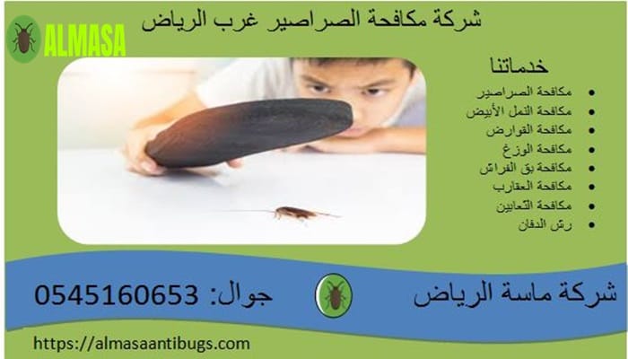 شركة مكافحة الصراصير غرب الرياض0545160654 3 شركة مكافحة الصراصير غرب الرياض 0545160653