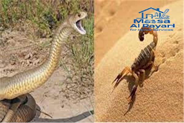 أفضل شركة مكافحة العقارب والثعابين بشمال الرياض