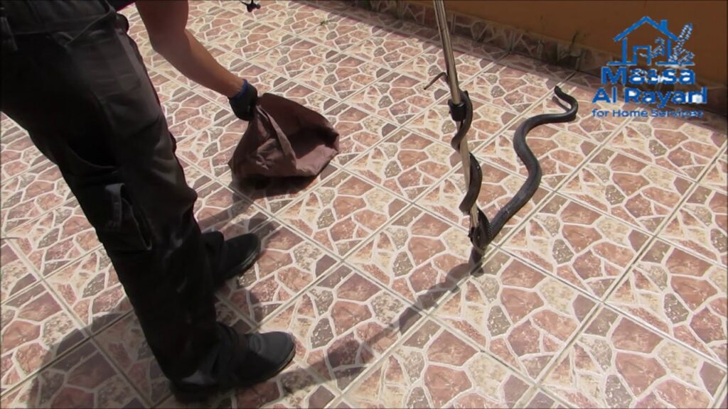 شركة مكافحة العقارب والثعابين شرق الرياض 0545160653