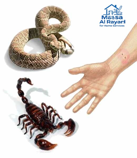 شركة مكافحة العقارب والثعابين شرق الرياض0545160653 2 أفضل شركة مكافحة العقارب والثعابين شرق الرياض