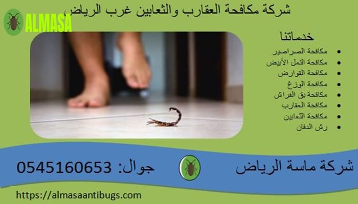شركة مكافحة العقارب والثعابين غرب الرياض0545160653 2 شركة مكافحة العقارب والثعابين غرب الرياض 0545160653