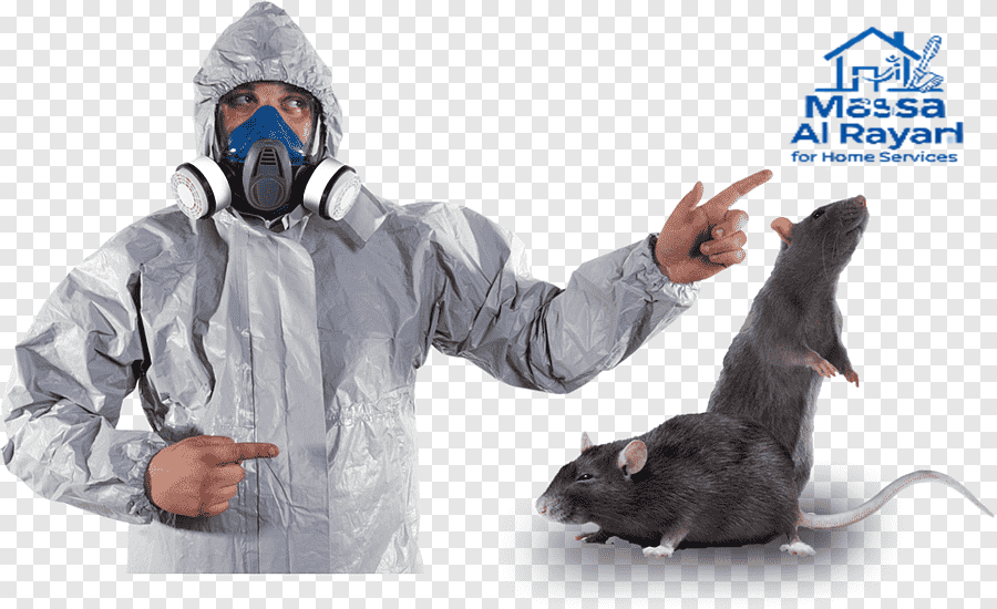 شركة مكافحة الفئران جنوب الرياض| 0545160653