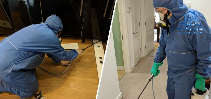 شركة مكافحة الفئران شرق الرياض0545160653 2 أفضل شركة مكافحة الفئران شرق الرياض