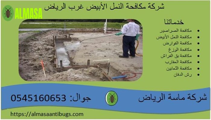 شركة مكافحة النمل الأبيض غرب الرياض0545160653 2 شركة مكافحة النمل الأبيض غرب الرياض 0545160653