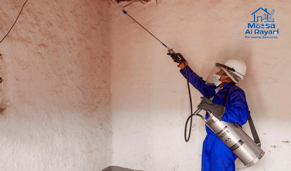 شركة مكافحة النمل الأبيض غرب الرياض 0545160653