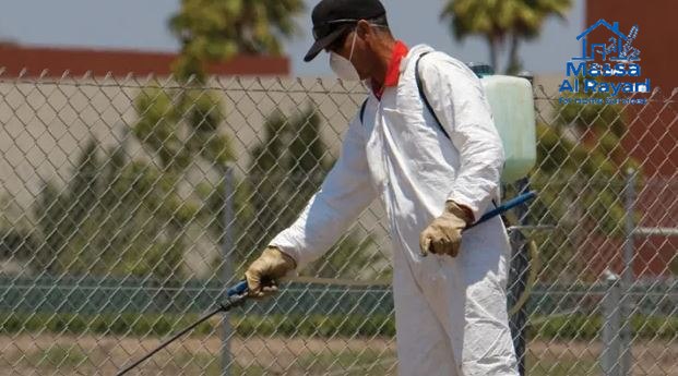 أفضل شركة مكافحة الوزغ غرب الرياض