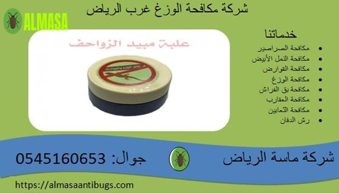 شركة مكافحة الوزغ غرب الرياض0545160653 2 شركة مكافحة الوزغ غرب الرياض 0545160653