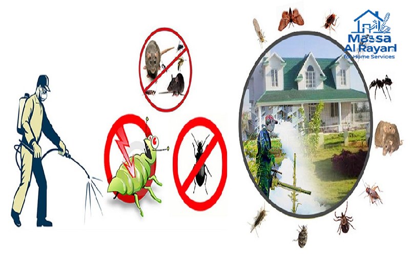 شركة مكافحة الحشرات ورش المبيدات بالمزاحمية |0545160653