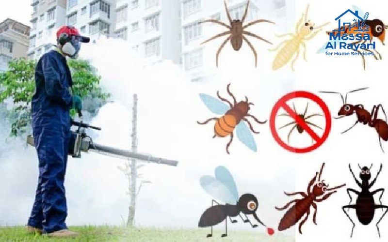 شركة مكافحة الحشرات ورش المبيدات بالدرعية 1 شركة مكافحة الحشرات ورش المبيدات بالدرعية | 0545160653