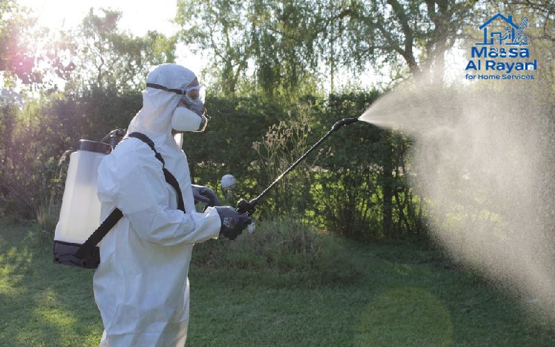 أفضل شركة مكافحة الحشرات ورش المبيدات بالدلم