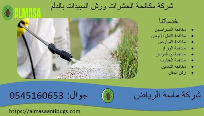 شركة مكافحة الحشرات ورش المبيدات بالدلم 3 شركة مكافحة الحشرات ورش المبيدات بالدلم | 0545160653