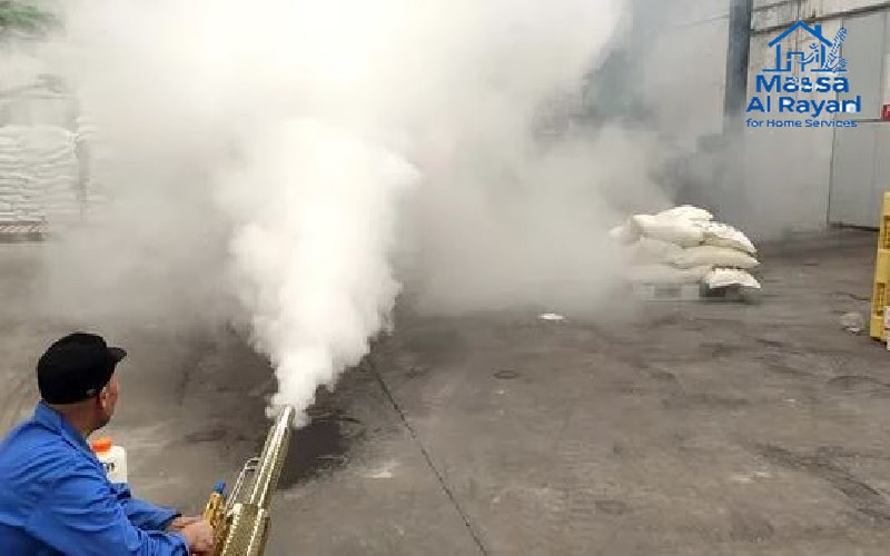 شركة مكافحة الحشرات ورش المبيدات بالزلفى