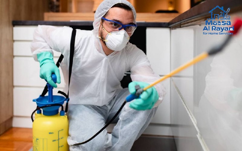 أفضل شركة مكافحة الحشرات ورش المبيدات بالزلفى