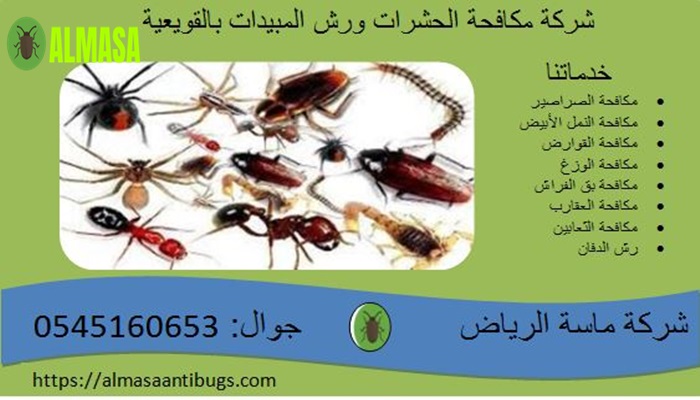 شركة مكافحة الحشرات ورش المبيدات بالقويعية 3 شركة مكافحة الحشرات ورش المبيدات بالقويعية | 0545160653