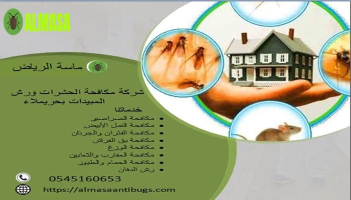 شركة مكافحة حشرات ورش مبيدات بحريملاء 0545160653