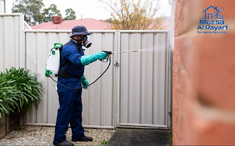 شركة مكافحة حشرات ورش المبيدات برماح 2 أفضل شركة مكافحة الحشرات ورش المبيدات برماح