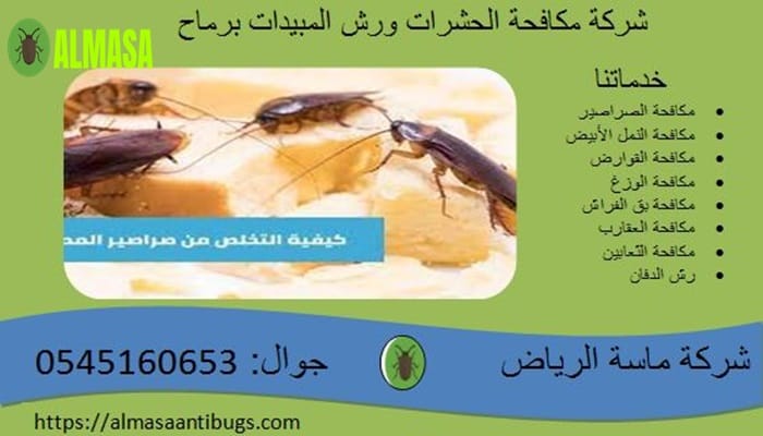 شركة مكافحة حشرات ورش المبيدات برماح 3 شركة مكافحة حشرات برماح 0545160653