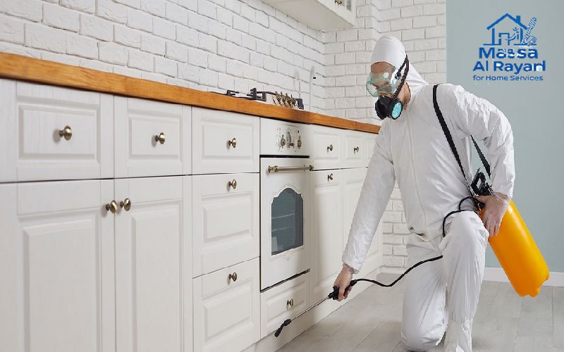 شركة مكافحة حشرات ورش المبيدات بعفيف | 0545160653