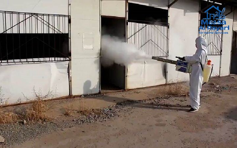 شركة مكافحة حشرات ورش المبيدات بعفيف 2 شركة مكافحة الحشرات ورش المبيدات بعفيف004